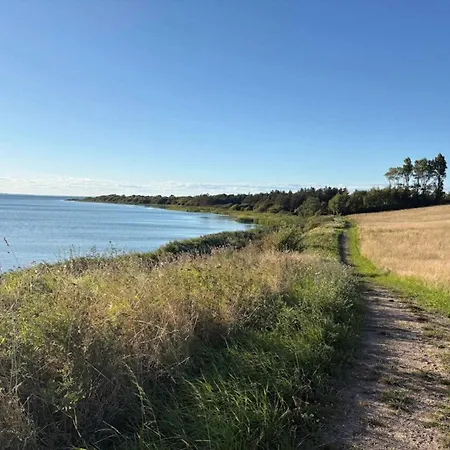 10 Person In Assens-by Traum *